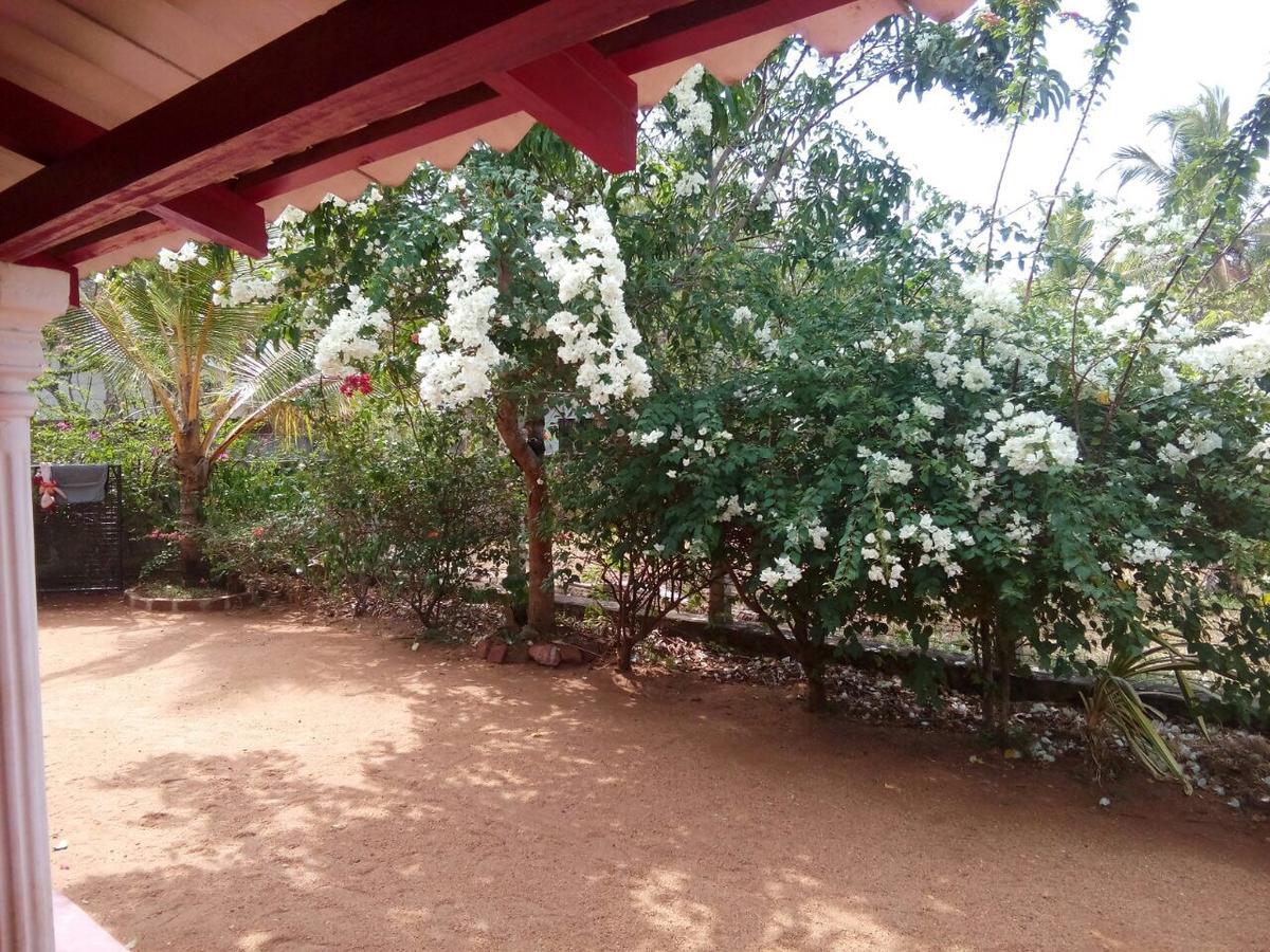 Lake House Homestay Anuradhapura Exterior photo