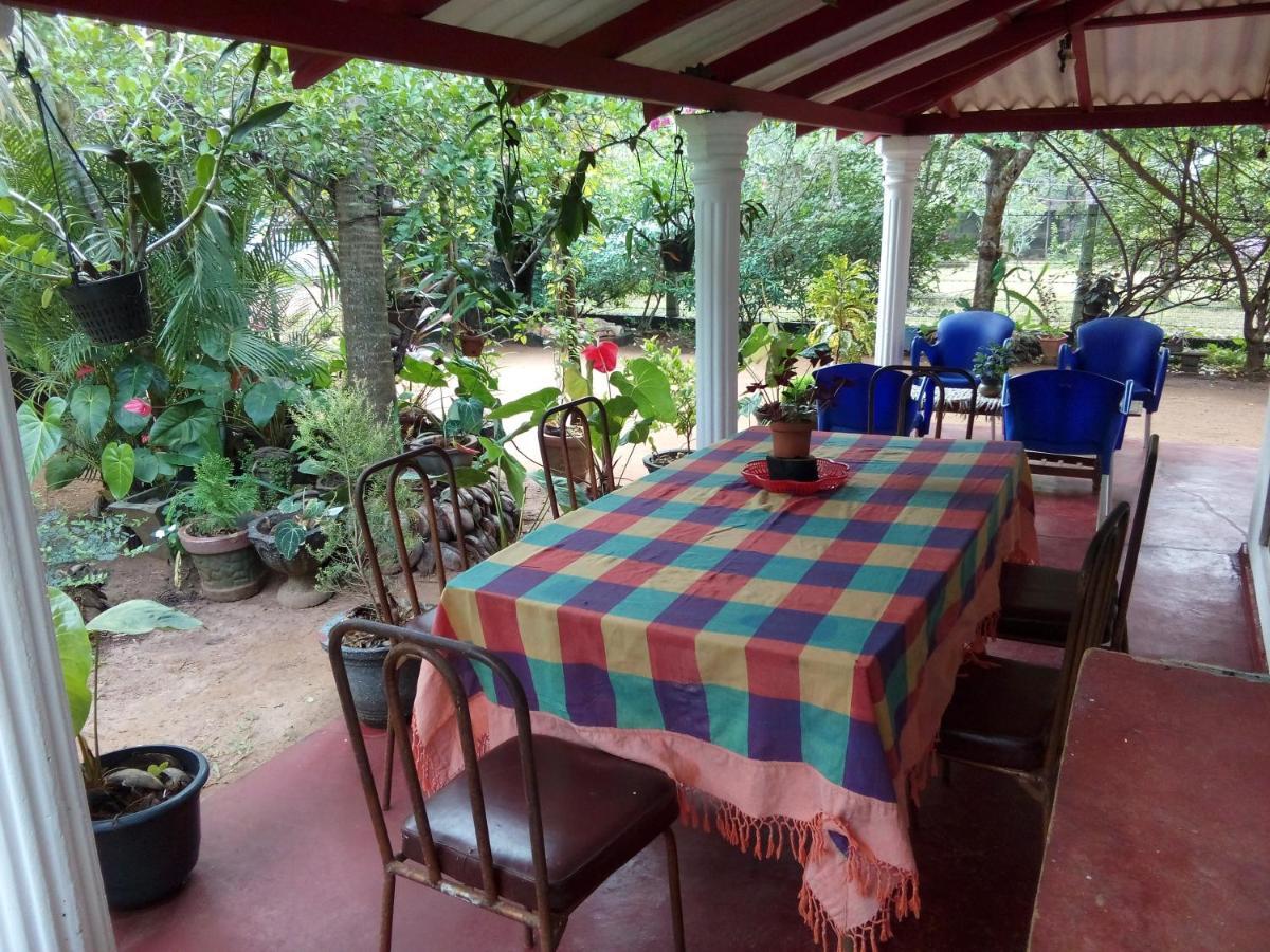 Lake House Homestay Anuradhapura Exterior photo